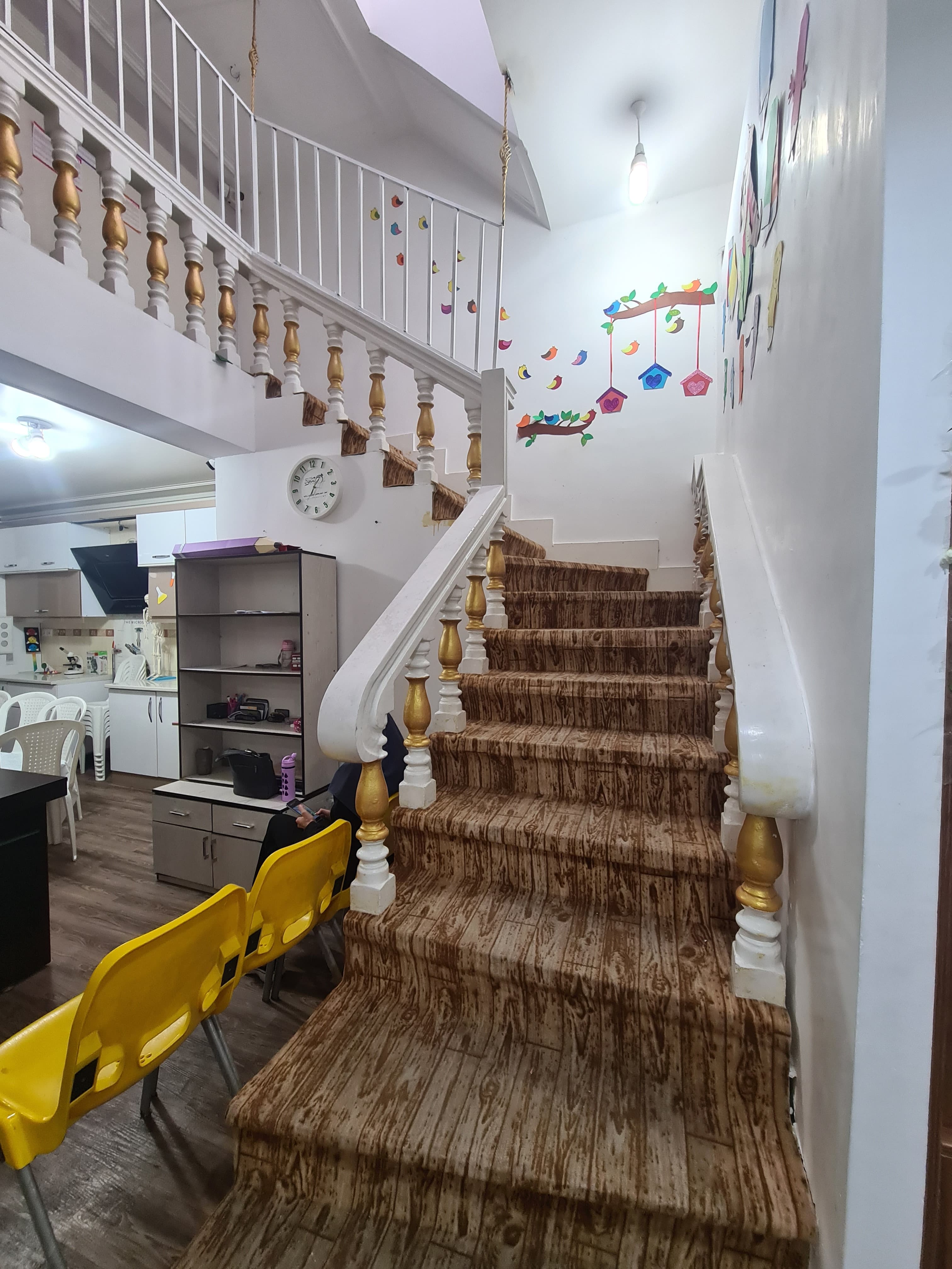 موسسه آموزشی درنیکا